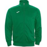 Joma Gala Polyestervest Kinderen - Groen | Maat: 6XS (104)