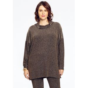 Trui met turtle neck LUREX