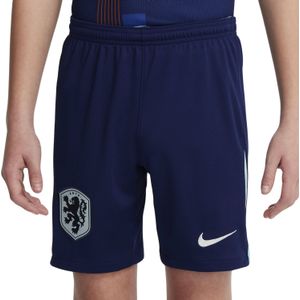 Nike Nederland Stadium Uitshort Junior