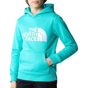 The North Face Drew Peak Hoodie Junior