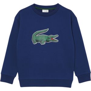 Lacoste Sweater Junior