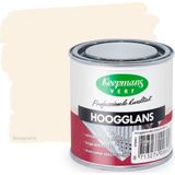 Verf - Hoogglanzend - Voor Hout en Metaal - Binnen en Buiten