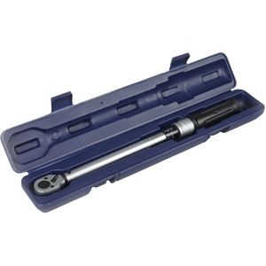 Proworks - Momentsleutel - 3/8 inch - 20-110 Nm - 430 mm