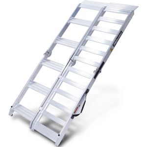 Ladderoprijplaat Proworks Dual Folding