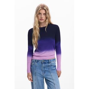 Verlooptrui - Multicolor - Fijngebreide Trui - Regular Fit - AW25