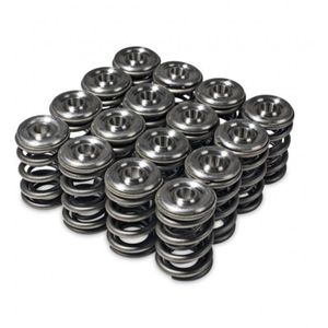 Skunk2 Alpha Series Honda/Acura H Series Valve Spring and Titanium Retainer Kit - 344-05-1360
