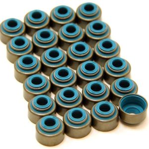 GSC P-D Toyota 2JZ Viton 6mm Valve Stem Seal Set - 1030
