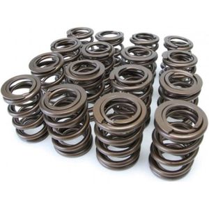 Skunk2 Tuner Series Honda/Acura (H22A/F20B) DOHC VTEC Alpha Valve Spring Set (Dual Springs) - 311-05-1360