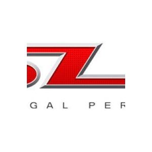 SLP 2001-2004 Chevrolet Corvette LS1 Blackwing Cold-Air Induction Package - 21110L
