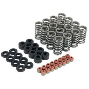 Skunk2 Honda L15B7 Ultra Valve Springs and Spring Base Kit - 313-05-9400