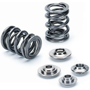 Supertech 05-15 Ford Focus 2.0L Dual Valve Spring Kit - SPRK-TS-DUR-D2
