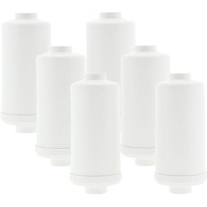 AllSpares Fluoride en Arsenicum Waterfilter (2St.) voor Zwaartekrachtfiltersyteem geschikt voor Berkey®