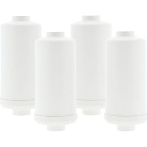 AllSpares Fluoride en Arsenicum Waterfilter (2St.) voor Zwaartekrachtfiltersyteem geschikt voor Berkey®