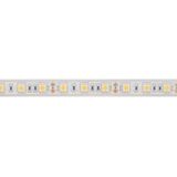 EtiamPro Professionele ledstrip, NeonFlex, flexibel, neutraal wit, 4000K, 120 leds/m, SMD 2835, 5 m, 24 V, IP67