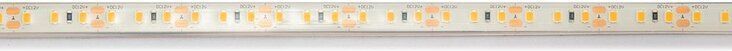 EtiamPro Professionele ledstrip, flexibel, warm wit, 2400K, 120 leds/m, CRI90, 5 m, 12 V, IP68