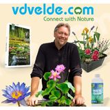vdvelde.com - Compleet Vijverpakket - XS - Blauw - Vijverplant - vdvelde.com -  - Voor 25 - 100 L
- Complete mini vijverset
- Plaatsing:  -10 tot -20 cm