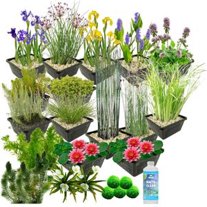 vdvelde.com - Waterplanten Pakket - L - Rood - Vijverplant - vdvelde.com -  - Voor 2.000 - 3.000 L
- 93 planten
- Plaatsing: -1 tot -100 cm