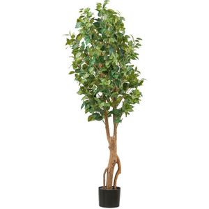 Kunstplant Ficus Benjamina 160cm