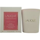 Lalique Les Compositions Parfumées Pink Paradise Kaars 190g