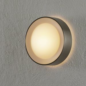 Philips Hue WACA Daylo buitenwandlamp RVS