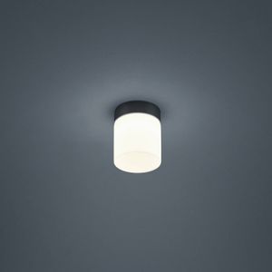 Helestra Keto LED plafondlamp, cilinder, zwart