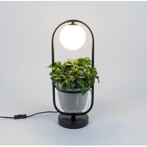 Lindby Orna tafellamp 1-lamp bloemhanger