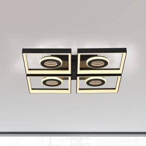 Paul Neuhaus LED plafondlamp Traforo, 53 cm, CCT, dimbaar