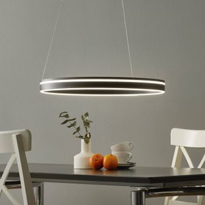 Q-Smart-Home Paul Neuhaus Q-VITO LED hanglamp 59cm antraciet