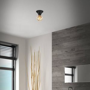 Briloner Plafondlamp Tepel voor de badkamer IP44 E27 zwart