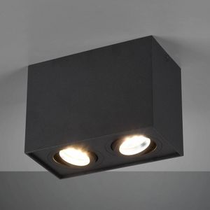 Trio Lighting Plafondlamp Biscuit, 2-lamps, zwart