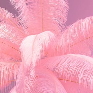 KARE Feather Palm vloerlamp met veren, pink