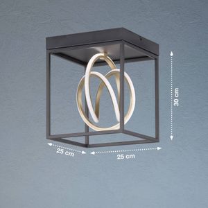 FISCHER & HONSEL LED plafondlamp Gisi, CCT, 1-lamp