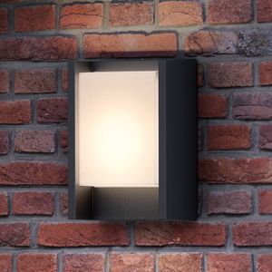 Philips Arbour LED buitenwandlamp 1-lamps