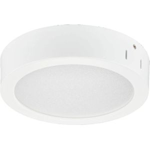Philips Professional LED opbouwdownlight DN145C LED20S/840 PSU II WH