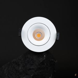 The Light Group SLC OnePro LED downlight wit 3.000 K