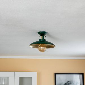 Eko-Light Plafondlamp Felix, groen/goud