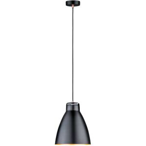 Paulmann 1-lamps hanglamp Roald