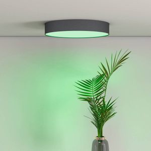 Calex Slimme Plafondlamp - Smart Plafonnière 30cm - RGB en Warm Wit - Zwart