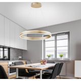 Q-Smart-Home Paul Neuhaus Q-VITO LED hanglamp, 1 ring