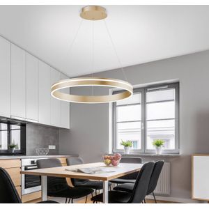 Q-Smart-Home Paul Neuhaus Q-VITO LED hanglamp, 1 ring