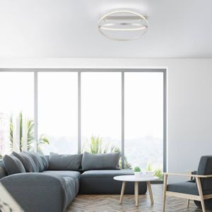 Q-Smart-Home Paul Neuhaus Q-Beluga LED plafondlamp, staal
