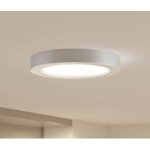 Prios LED plafondlamp Edwina, zilver, 24,5cm, 2st, dimbaar