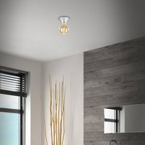 Briloner Plafondlamp Tepel voor de badkamer IP44 E27