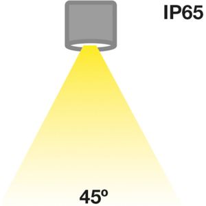 The Light Group SLC MiniOne Fixed LED downlight IP65 zwart 927