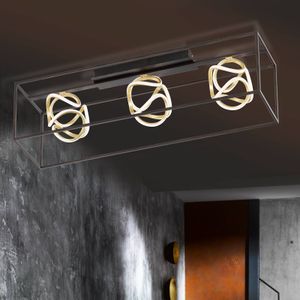 FISCHER & HONSEL LED plafondlamp Gesa met metalen kooi