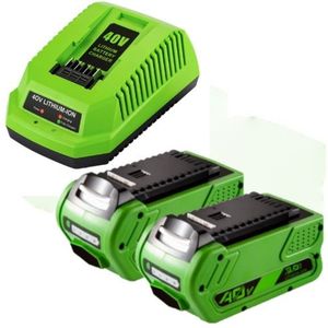 Starterkit: 2x GreenWorks G40B4 / G-MAX 40V accu's + lader (40 V, 3.0 Ah, 123accu huismerk)