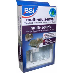 BSI Multi-Muizenval