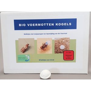 Refona Sluipwespen tegen alle soorten motten | bio voermotkogels Bestrijding