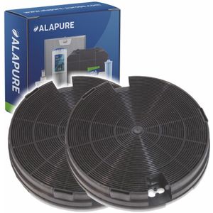 Koolstoffilter voor Jetair F00428/1S