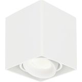 Dimbare LED Opbouwspot plafond Esto Wit incl. GU10 spot 5W 4000K IP20 kantelbaar